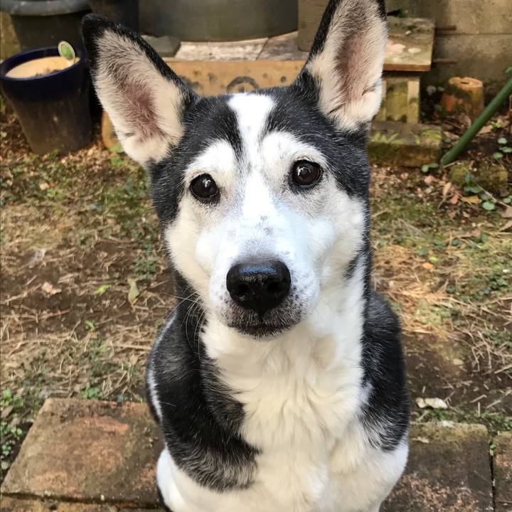 Cc128f5e 754f 4973 88c0 84111691649f