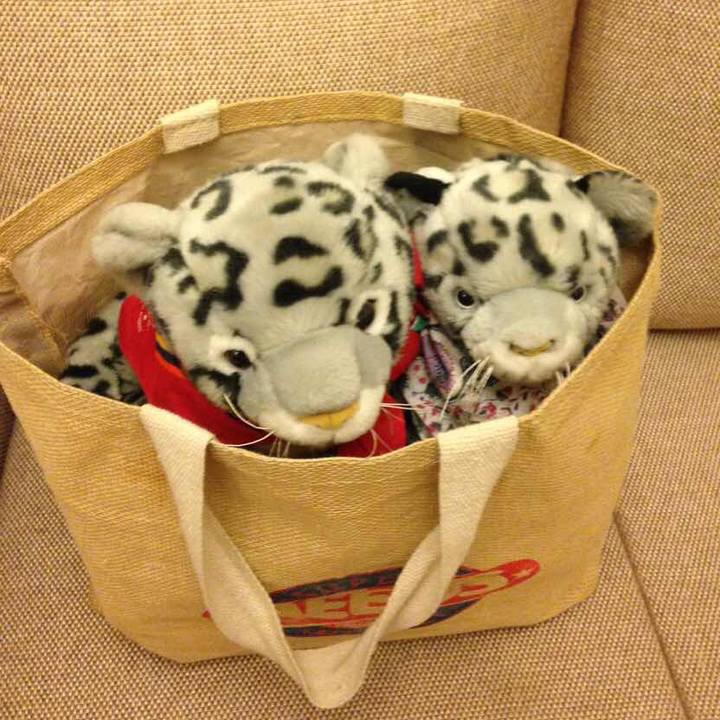 Cc12a3d4 8cf8 4391 b22d ff321503b9ea