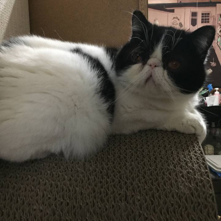 Cc12f299 a5f7 4af4 af78 b04e632b261b