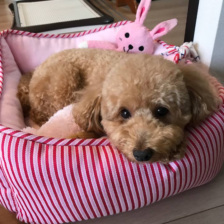 Cc12f2de 5cfa 43f6 8b41 8716cc2f497c