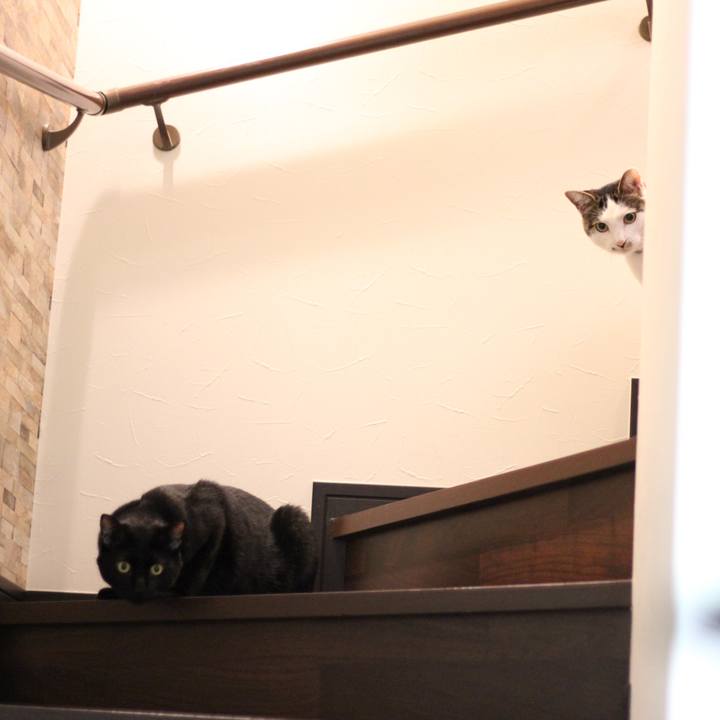 Cc12f84f 83d4 4b6c 91d0 d4b54d69f843