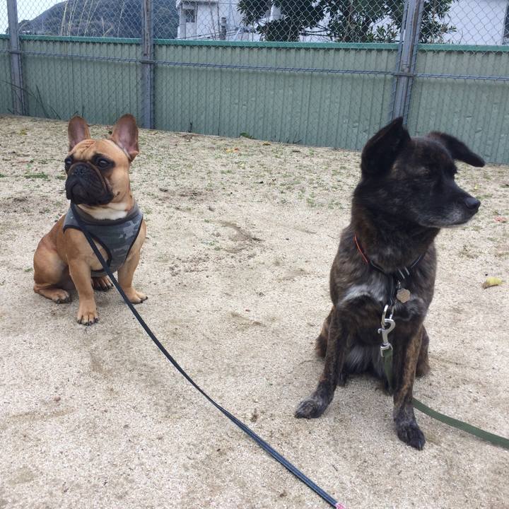 Cc1344d4 20c0 447b ac77 9e5718d311a2