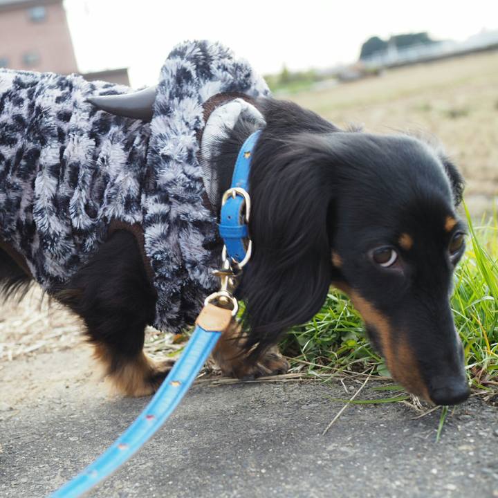 Cc13d29f b4a4 4e64 a2e9 3e4b9dbff26d