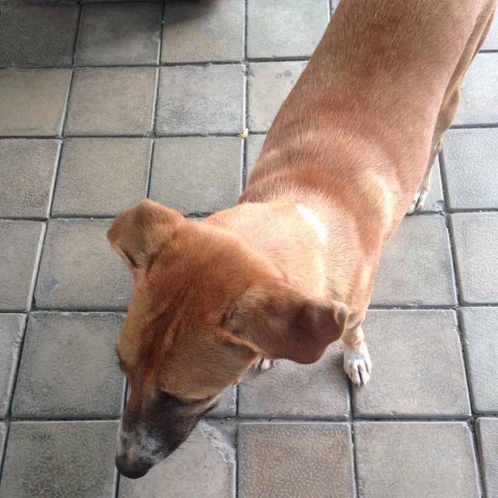 Cc13dcc3 0837 4a0a be10 5879636790c3