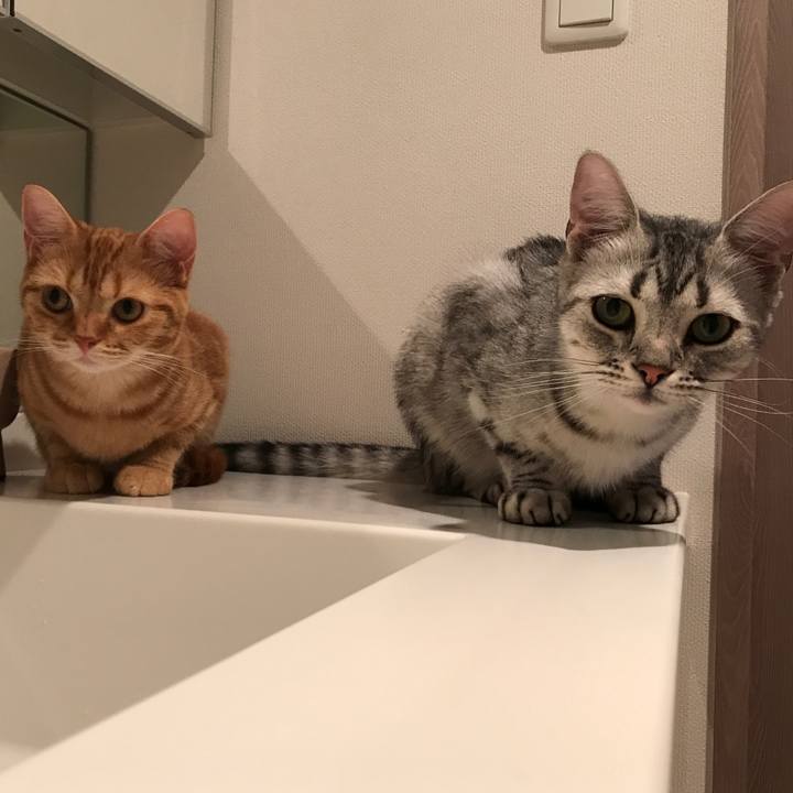 Cc143677 727d 45ac 96cc 39993a452f2d