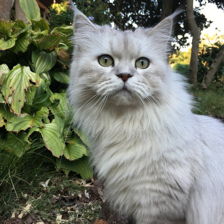 Cc149c53 166c 44a0 b8c0 c4878ac25881