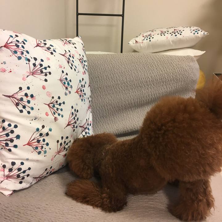 Cc14d398 3d17 41b2 ba8a 2e7123047961