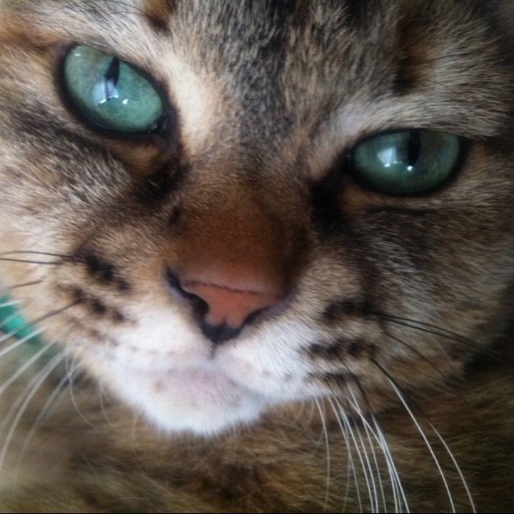 Cc153adc 9786 4a0f 8204 f886cf0cf1a7