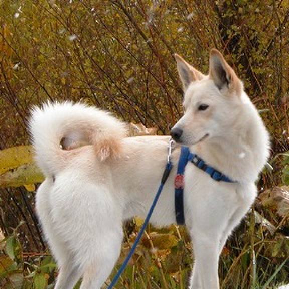 Cc154a91 0459 4532 8e75 ff418d4ac40b