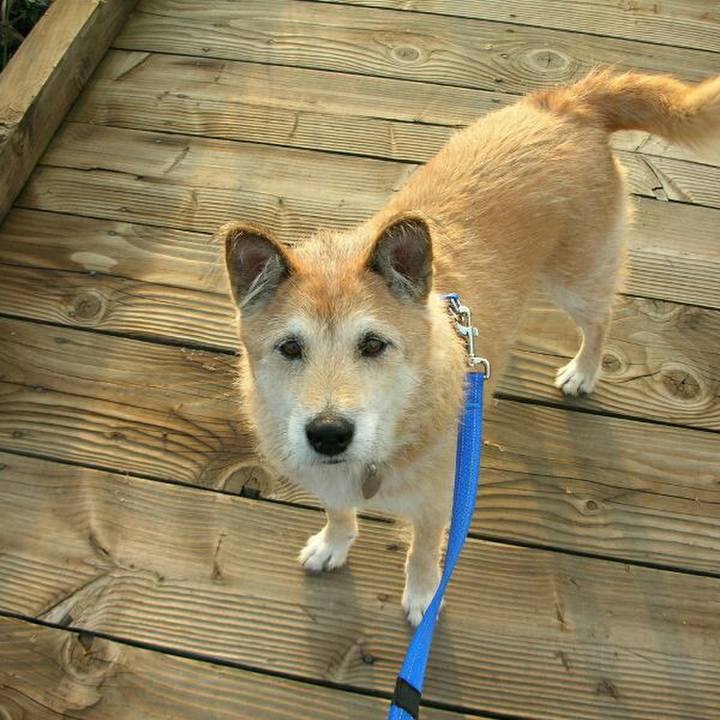 Cc155509 d061 4950 b371 e45c72a6df08