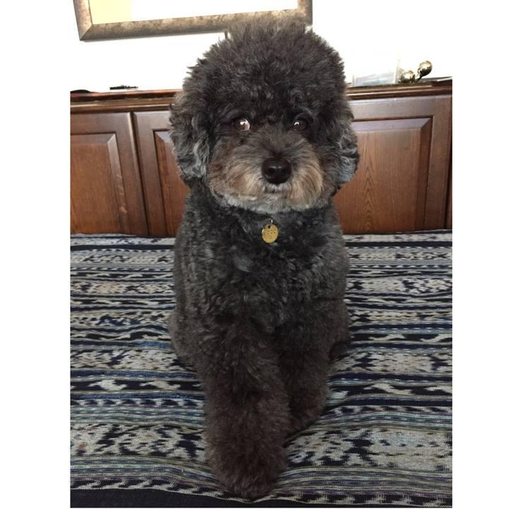 Cc16dfdc 6ce5 41b8 af21 e99f2519a103