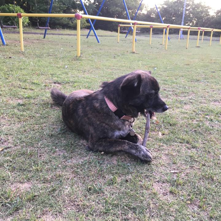 Cc17458a 3388 4afe 9044 d7a1b49751ab