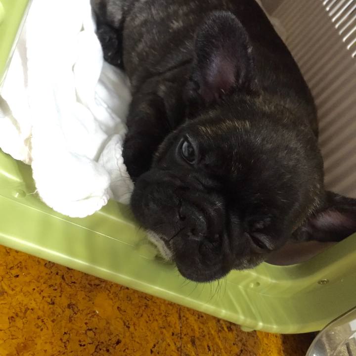 Cc181733 aacf 4d43 8c9a a0b88a790cba