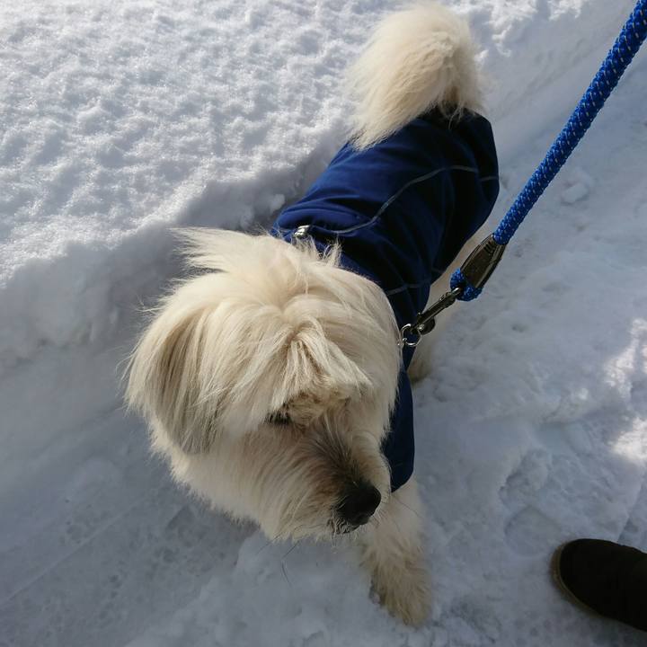 Cc189039 08e1 4123 95a1 096008a95cfe