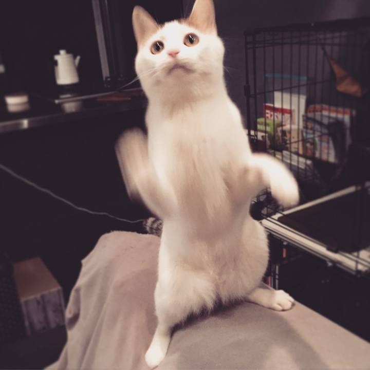 Cc19e3cf 0b35 4eba 98b1 f784f63c7ecf