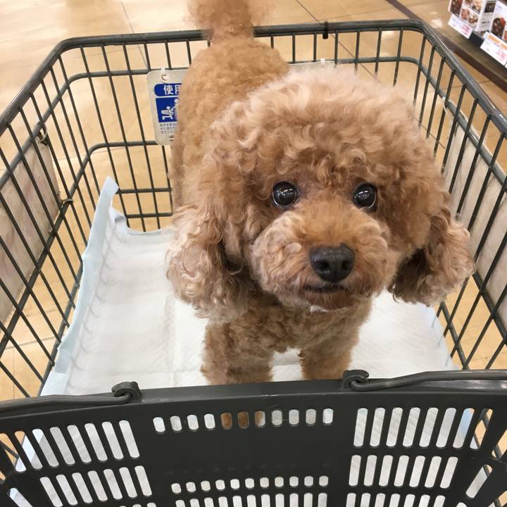 Cc1a2888 284e 4306 9f85 a95255266536