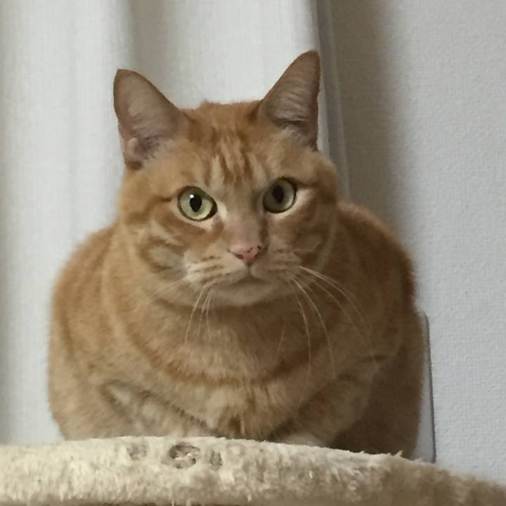 Cc1a3804 6a25 4899 9601 06fca40835d7