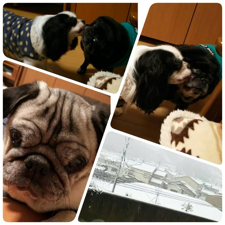 Cc1a3b18 26e0 4eef add5 de85d09ab800