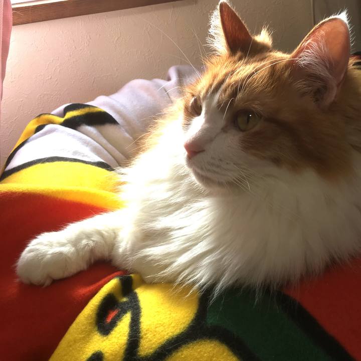 Cc1a8012 a9f8 4b21 a906 7ccc6697f23b