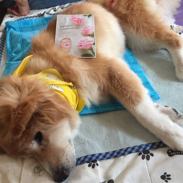 Cc1acd8a 0f88 468e b344 61c51460ef04