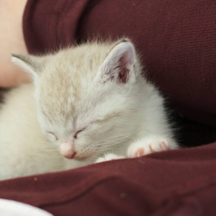 Cc1b6862 797e 4ebb a3ae 930537143262