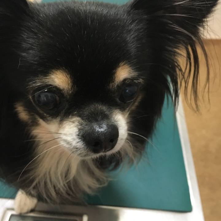 Cc1b93ce be2f 4094 a59f 4c77eb930cd3