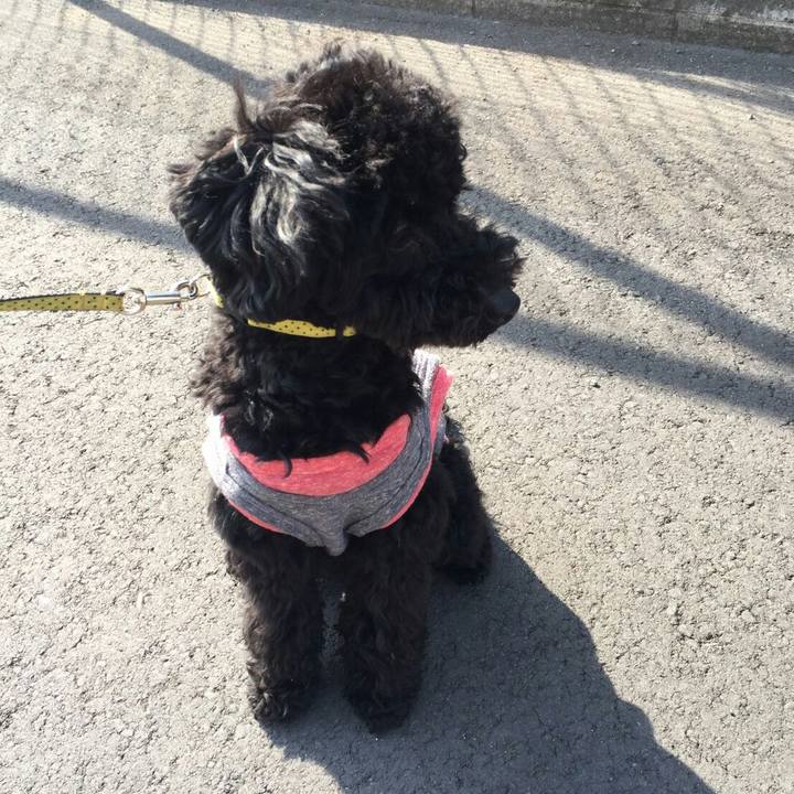 Cc1be571 5abe 4c75 a367 9a22e4e98c54