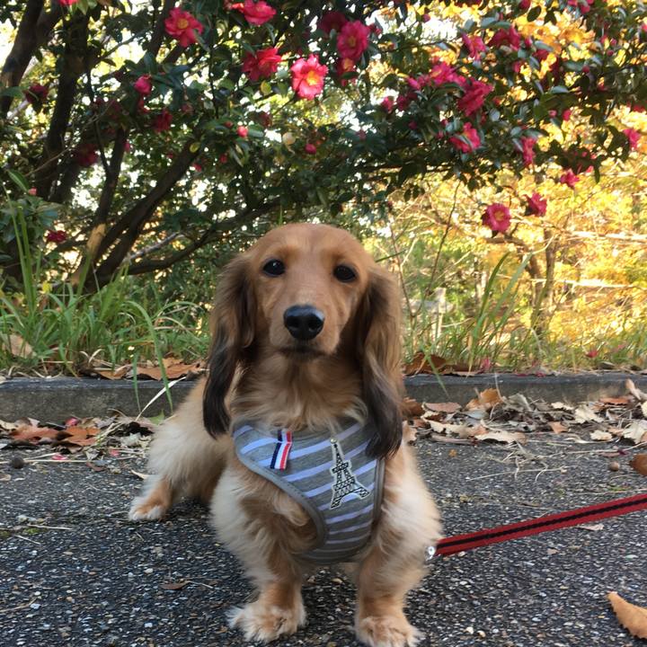 Cc1bfefd 4c9c 46c4 8845 a88a9470845a