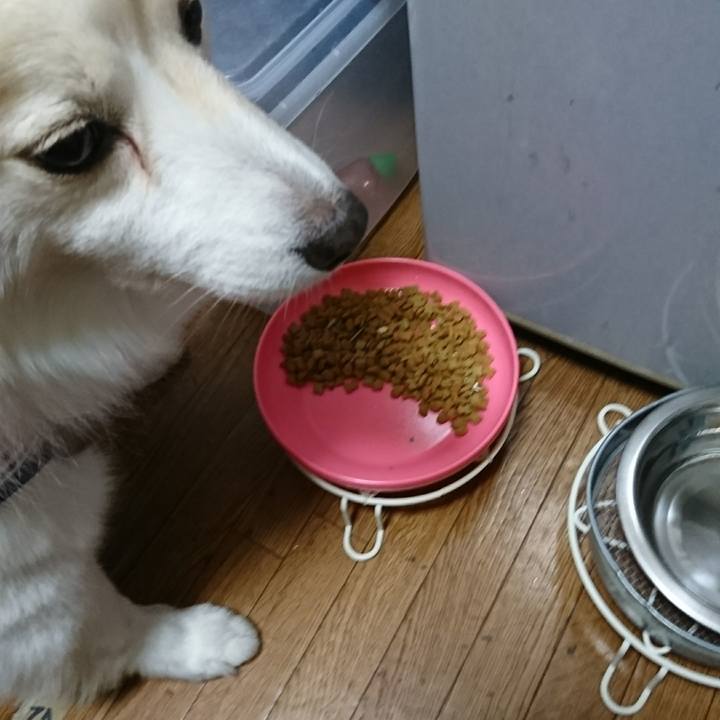 Cc1c1dd1 16ed 482b 96f3 f3de86e93131