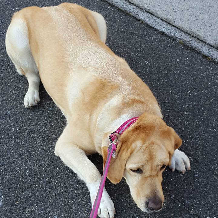 Cc1d0e1e e14c 46e1 9d16 17154cd47d9b