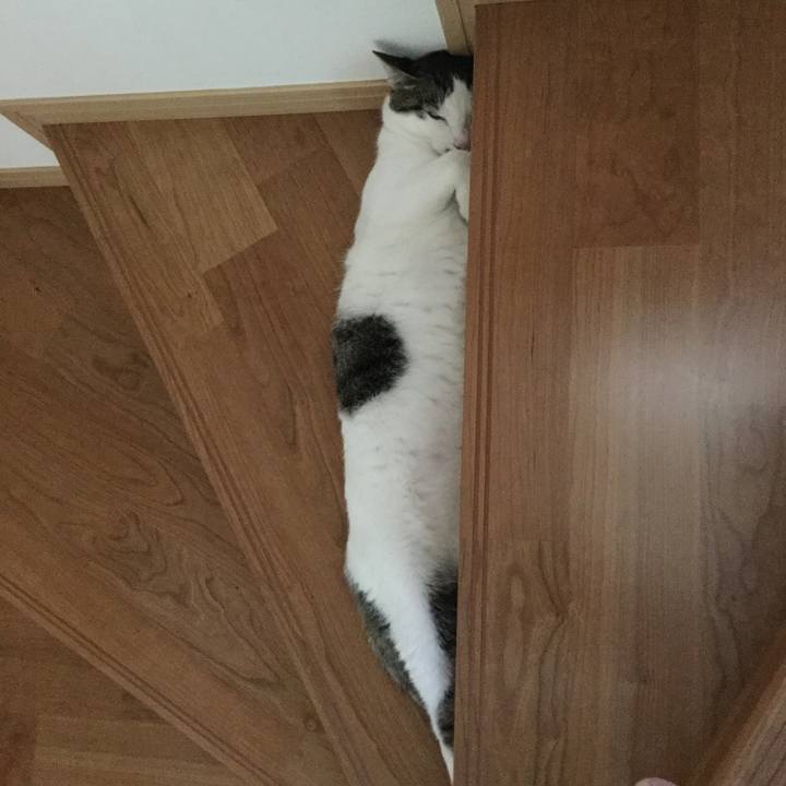 Cc1da24a ef48 4733 b84f f82448d4069a