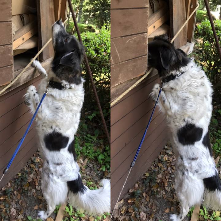 Cc1dda9e 1034 4982 b106 96544e0477f5