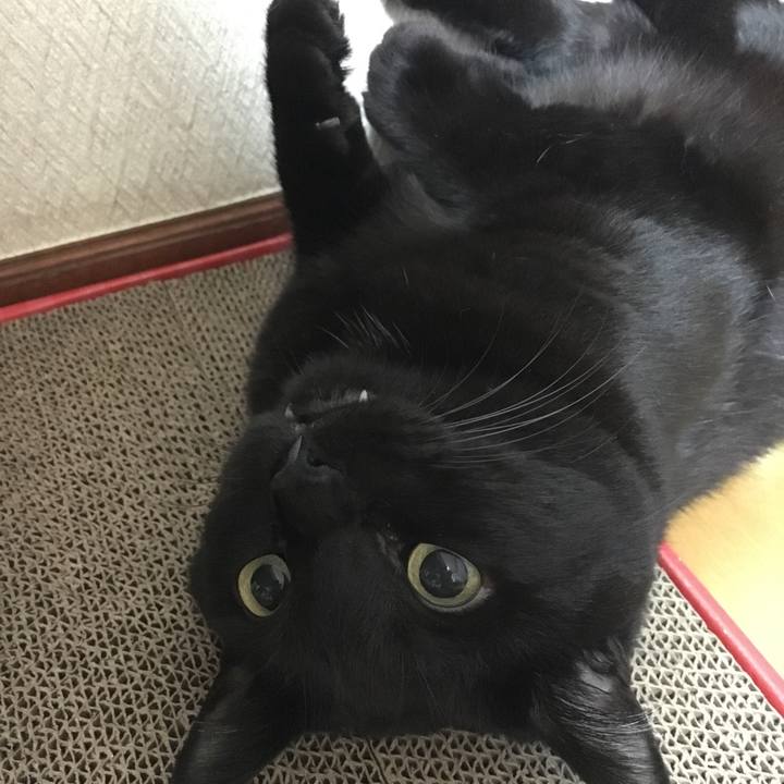 Cc1e1c13 7442 4170 b5e4 75d13779081c