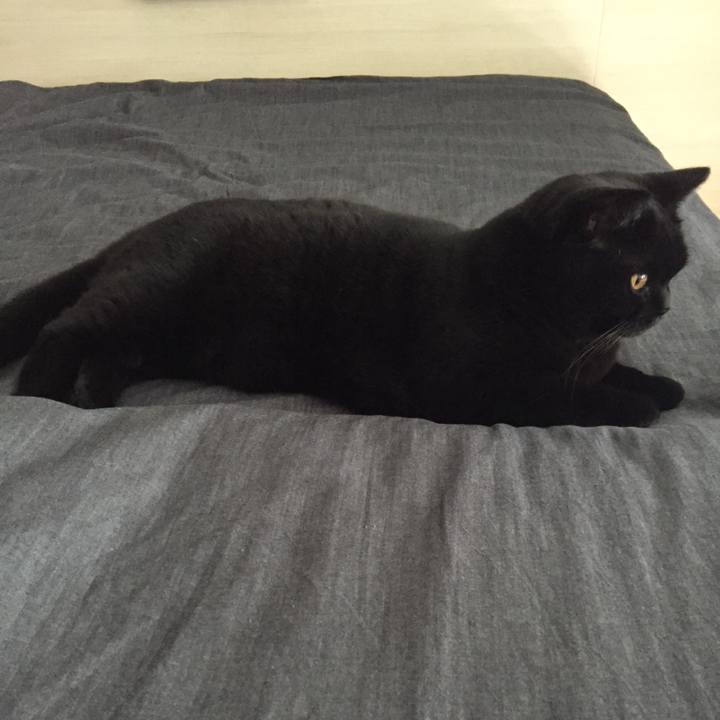 Cc1eb148 eb63 45be 81d0 7dd170c962cc