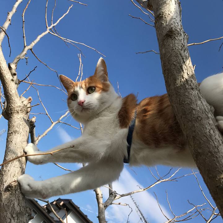 Cc1eb32f c632 463d 9b2b 6a62def07aa2