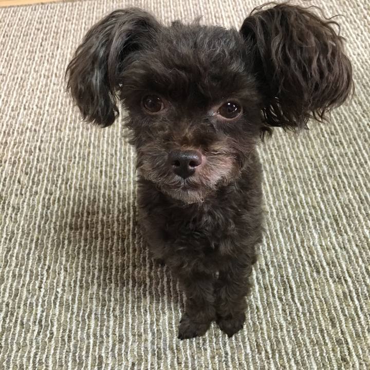 Cc1ee77b c992 465f bb5c 4c5fe7ac00b8