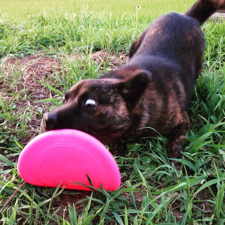 Cc1f309f 1c9a 44fe 85ca 97f9f96687a6