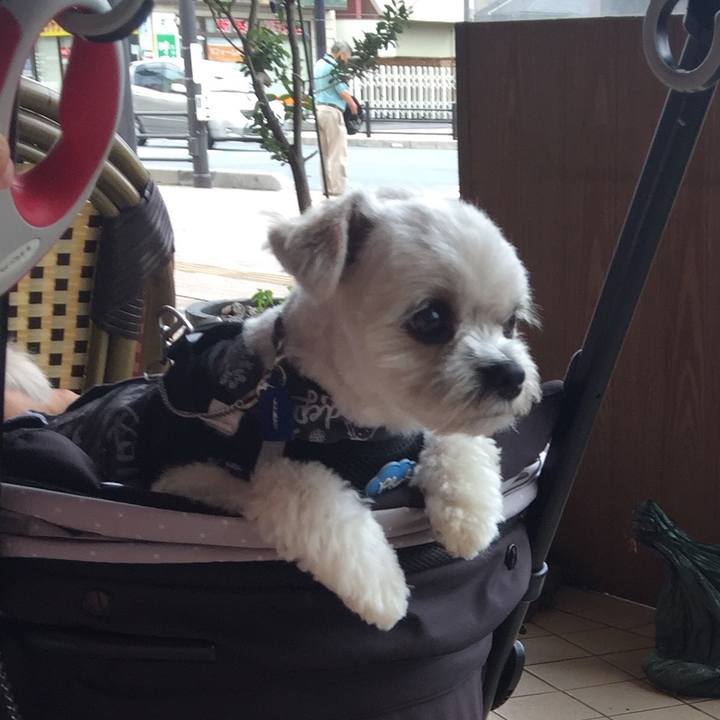 Cc201d31 2951 43db bcd8 e39150afaa3f