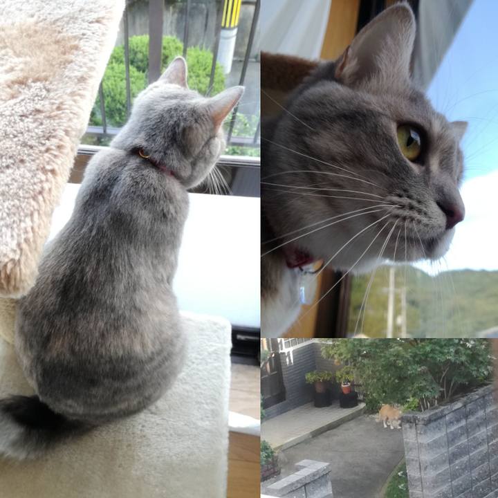 Cc21646f 1a7b 4085 8cb2 d570939d2f37