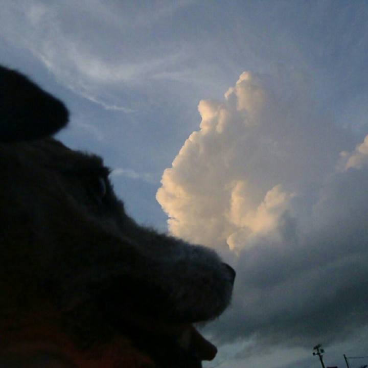 Cc2189f6 e779 423c bd93 c9b260a51aaf