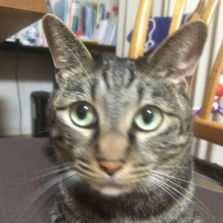 Cc224208 5d4d 4562 815d 638da182cda8