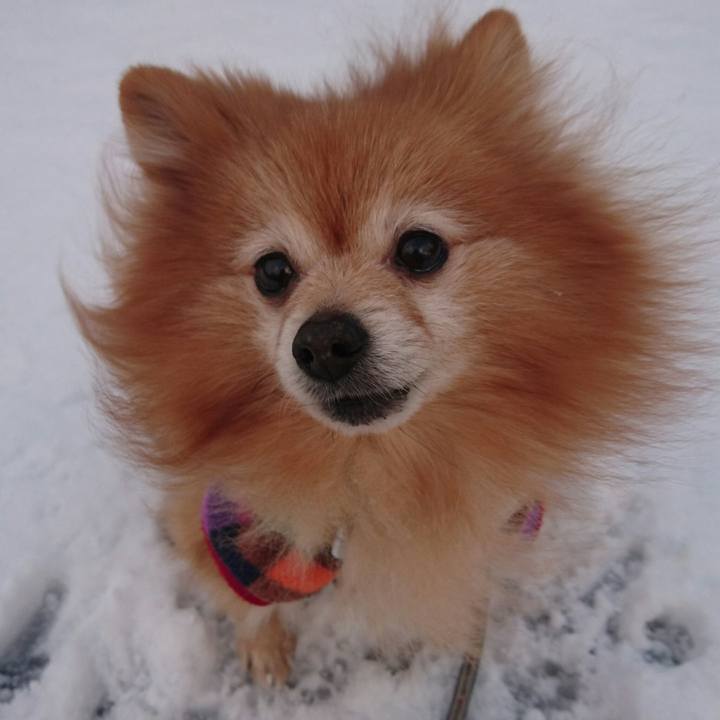 Cc227dd2 1498 4df7 b15a 2e8fc9288f24