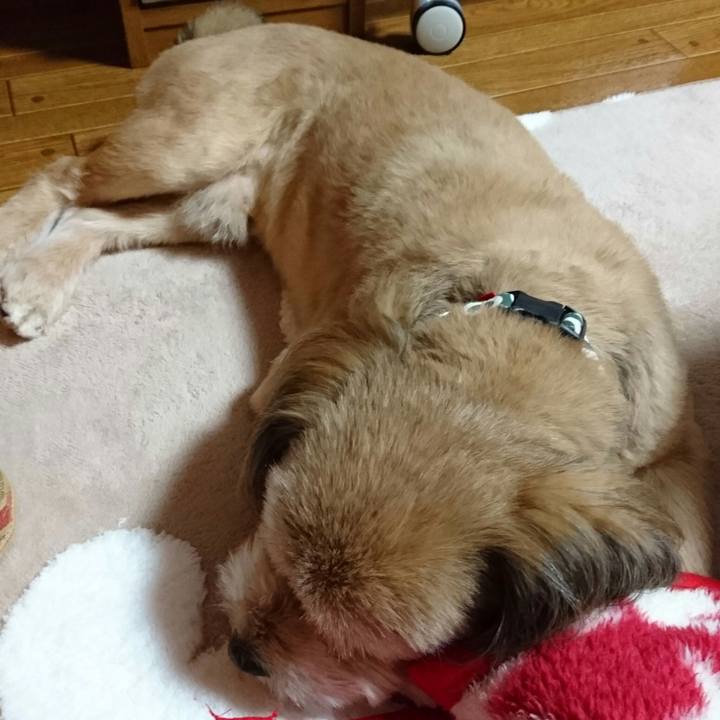 Cc232f41 002b 46a7 984d bc832db9853f