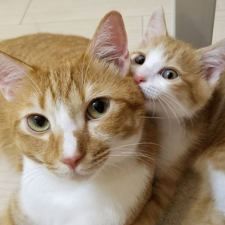 Cc234f96 56c7 409a 8cbf b91f8386cc51