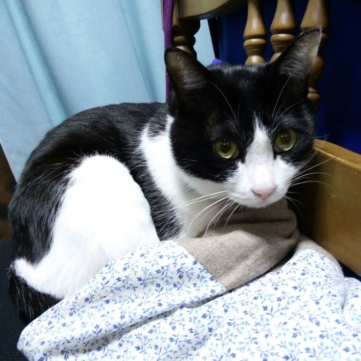 Cc242d57 fa4e 4b9f 8b3d 84972128020e