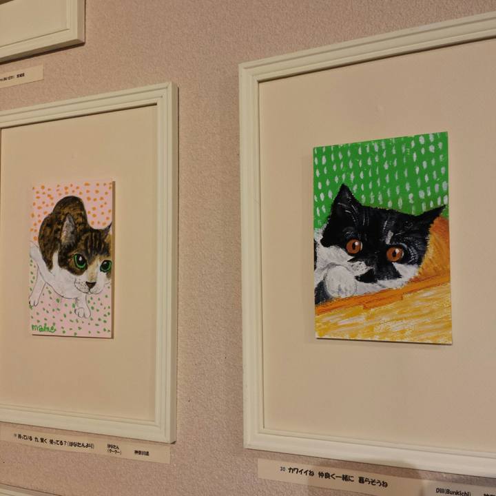 Cc24b40a 9d9a 4ab1 99bb 14d3b6599c8d