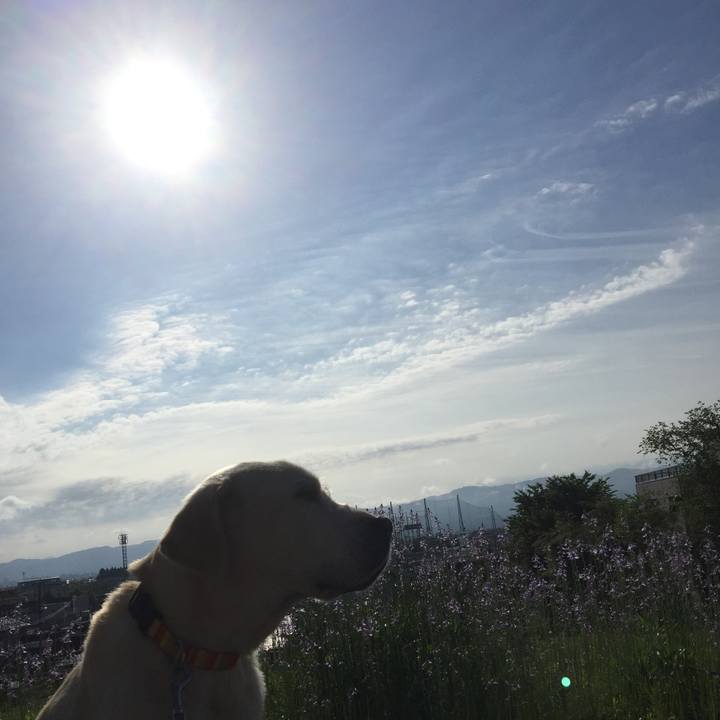 Cc24d76e dc4c 4bb0 9fd3 ba1e4eb52876