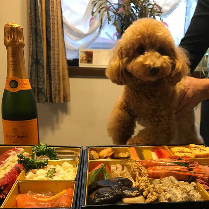 Cc251a44 3759 4637 a225 fc70a65efe91