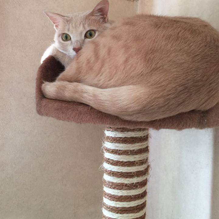 Cc25e221 20e9 4532 8ece e2c82547167b