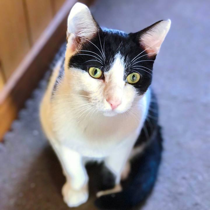 Cc261597 9d69 4947 b647 410d06555629